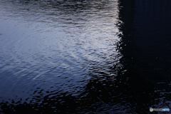 20110226_173252_IMG_2637