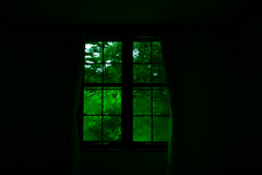 20101003_072733_IMG_0662