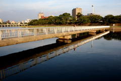 20100929_170505_IMG_0297