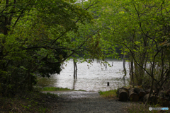 20110504_160446_IMG_3316