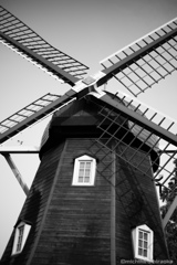 20170610_171041_IMG_0628