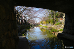 20150328_095704_IMG_2052