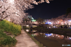 20110406_211945_IMG_3047