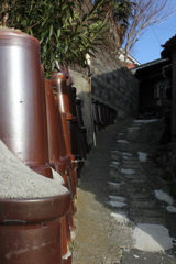 20110305_161301_IMG_2681