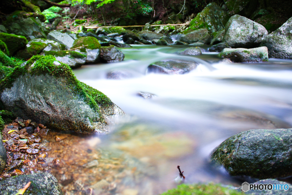 20110701_085219_IMG_4056