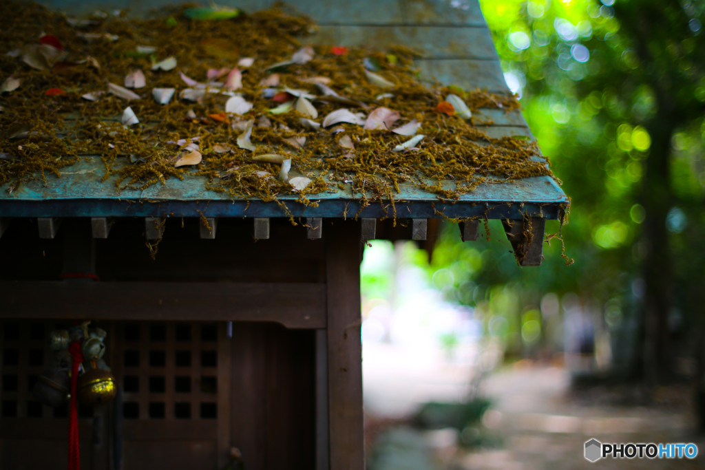 20140427_141648_IMG_1215