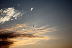 20100929_055019_DPP_0016