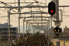 20110305_164834_IMG_2718