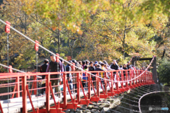20111126_124023_IMG_7208