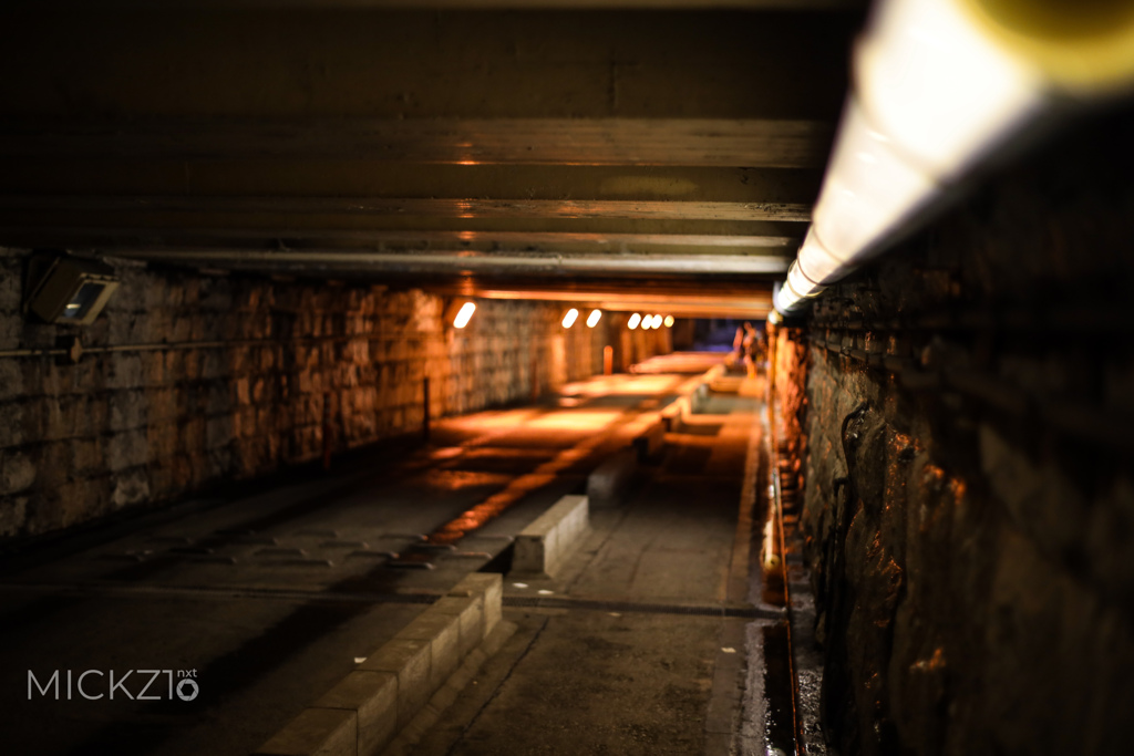 20190911_201529_2O0A2643