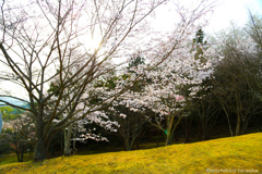 20180401_082317_IMG_1501
