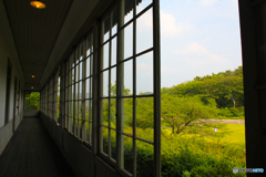 20110604_162515_IMG_3857