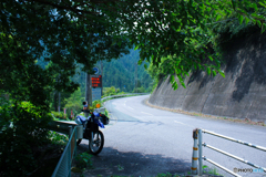 20110818_111338_IMG_4334