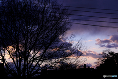 20101231_165637_IMG_17201