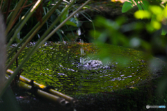 20110604_160158_IMG_3844