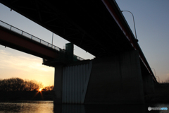 20110226_173135_IMG_2635