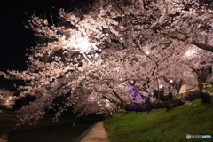 20110406_212634_IMG_3055