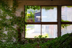 20200720246