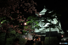 20110406_204011_IMG_3024