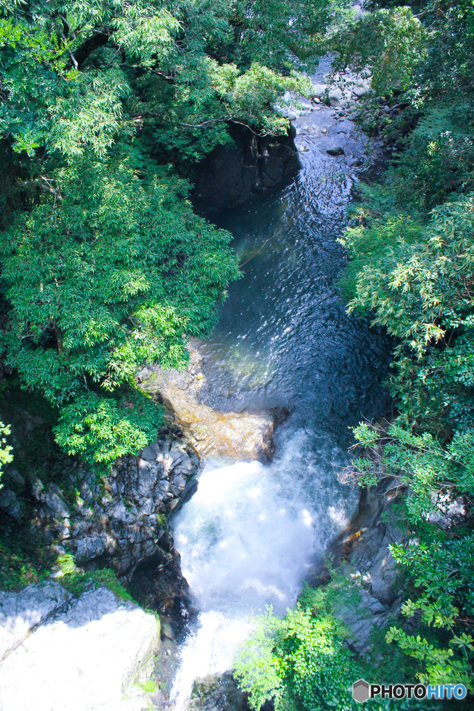 20110818_111306_IMG_4332