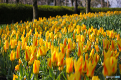 20120401_152348_IMG_7489