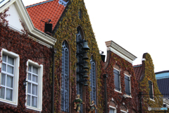 20101030_155400_IMG_1174