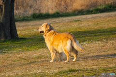 20110226_164856_IMG_2579