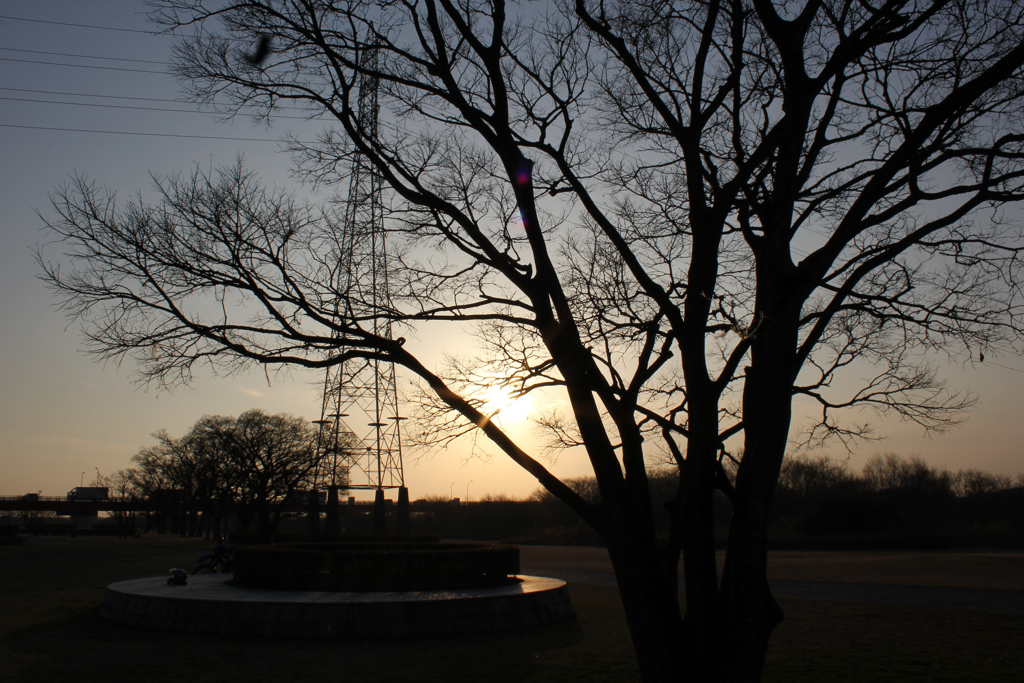 20110226_170358_IMG_2603