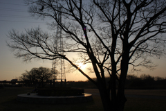 20110226_170358_IMG_2603