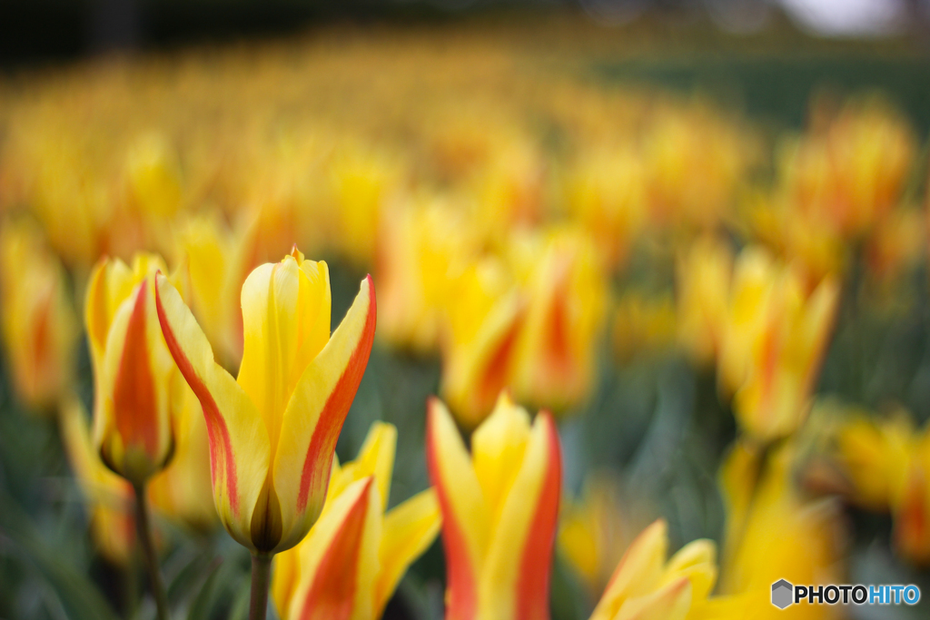 20120401_150313_IMG_7471