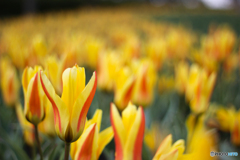 20120401_150313_IMG_7471