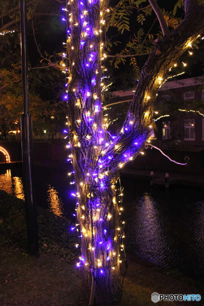 20101030_183756_IMG_1244
