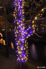 20101030_183756_IMG_1244