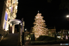20101030_190034_IMG_1315