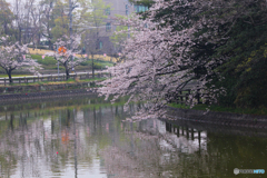 20110409_115106_IMG_3127