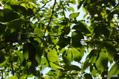 20130501_133147_IMG_8989
