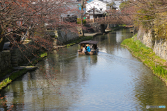 20150328_095200_IMG_2042
