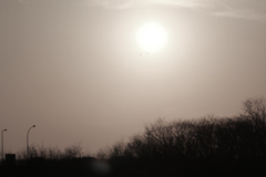 20110226_171324_IMG_2612