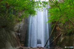 20110504_165930_IMG_3379