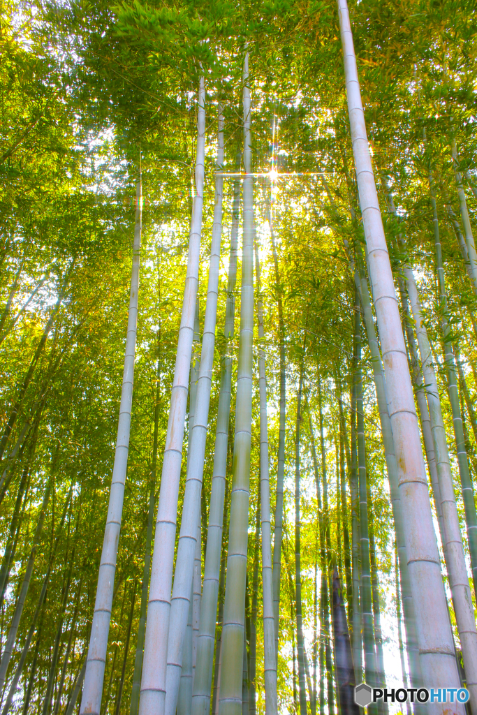 20110508_134212_IMG_3435