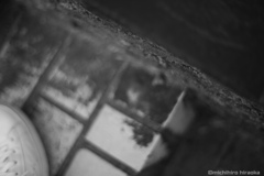 20170610_172817_IMG_0646