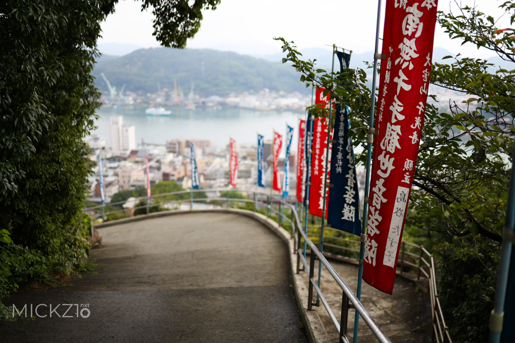 20190901_141758_2O0A2319