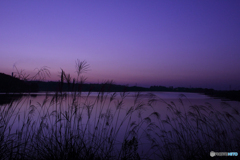 20101106_060128_IMG_1420