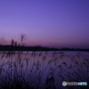 20101106_060128_IMG_1420