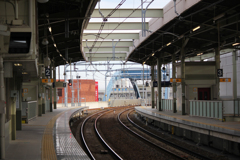 20110305_164719_IMG_2712