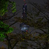 東京スカイツリー４９７ｍ