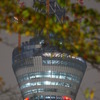 東京スカイツリー４９７ｍ