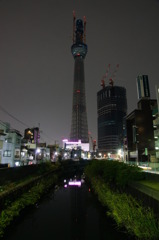 東京スカイツリー４９７ｍ
