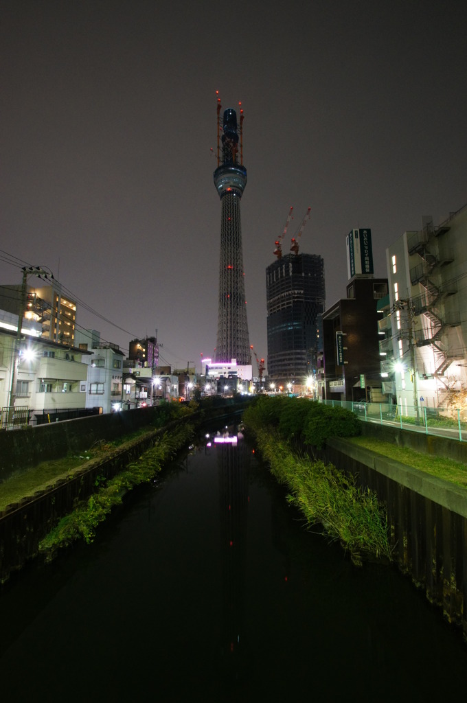東京スカイツリー４９７ｍ