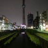 東京スカイツリー４９７ｍ